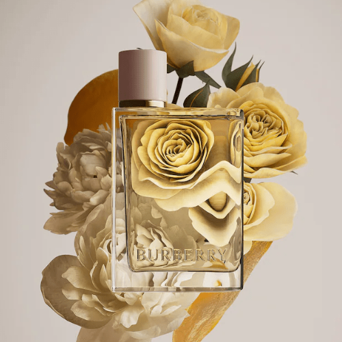 عطر هير لندن دريم من بربري للنساء - او دي بارفيوم