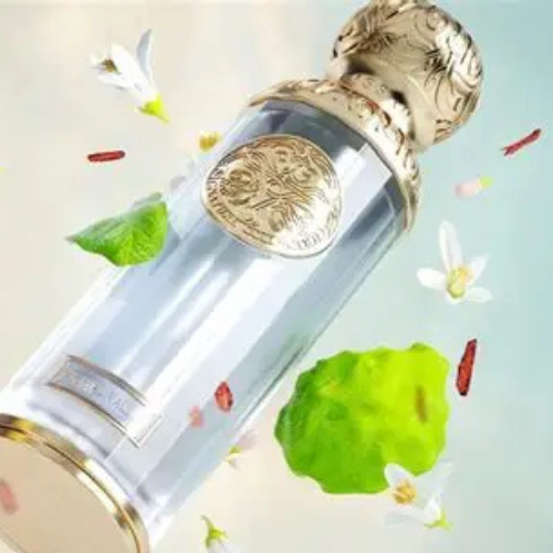 عطور أسد للرجال