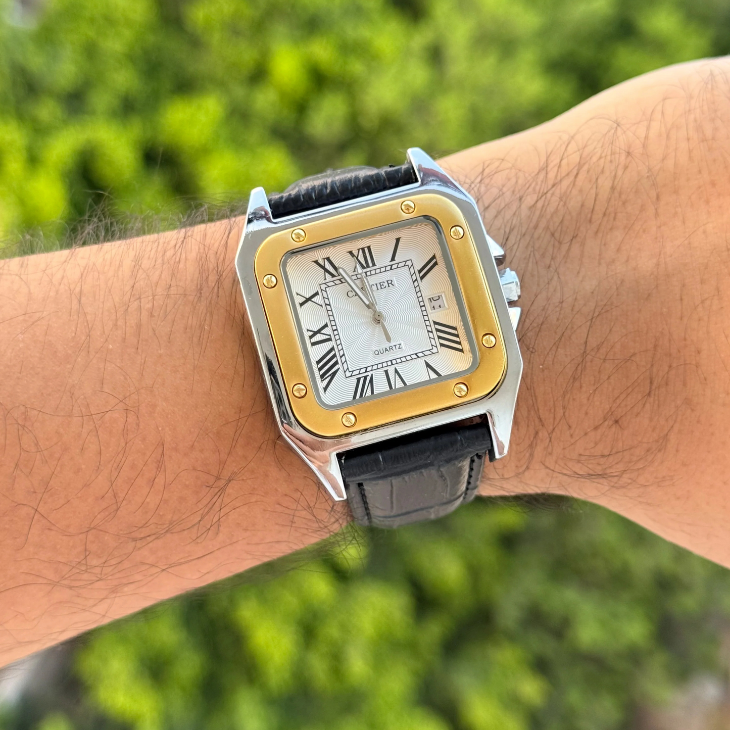 Cartier santos leather
