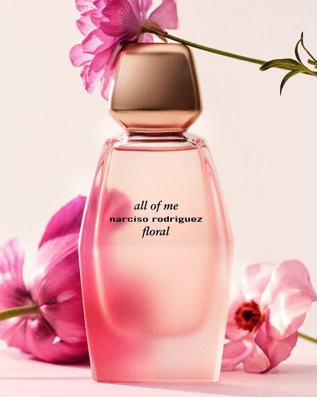 Narciso all of me