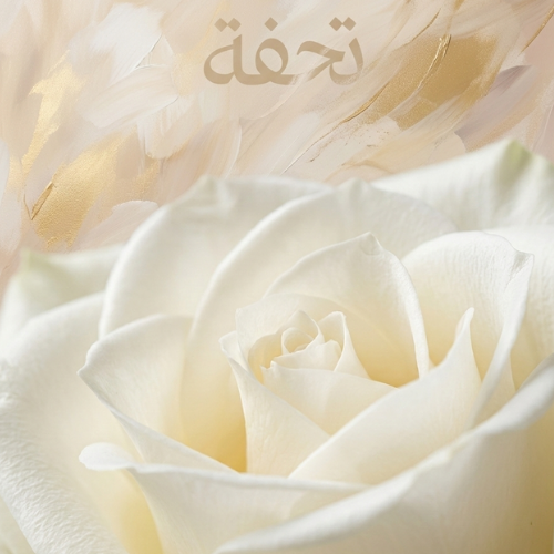 باقة جوري ابيض نقية | 250 زهرة