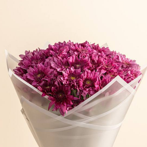 باقة أقحوان بنفسجي ساطعة