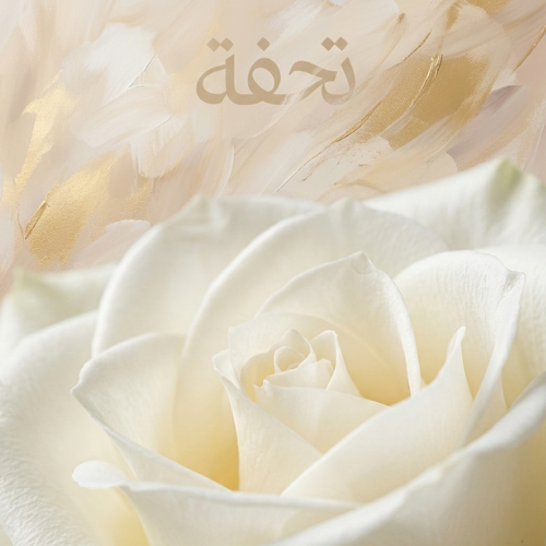 النقاء الرائع | 100 جوري