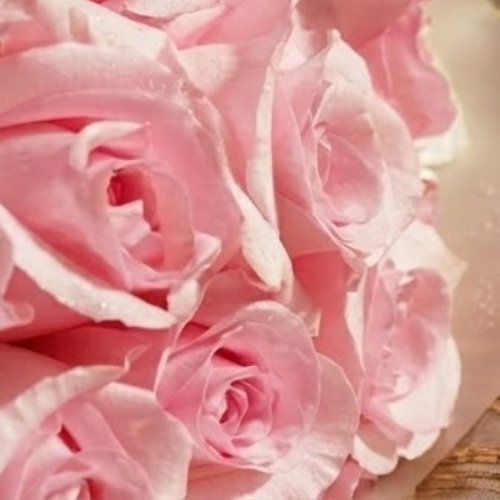 باقة جوري رقيقة | 25 زهرة