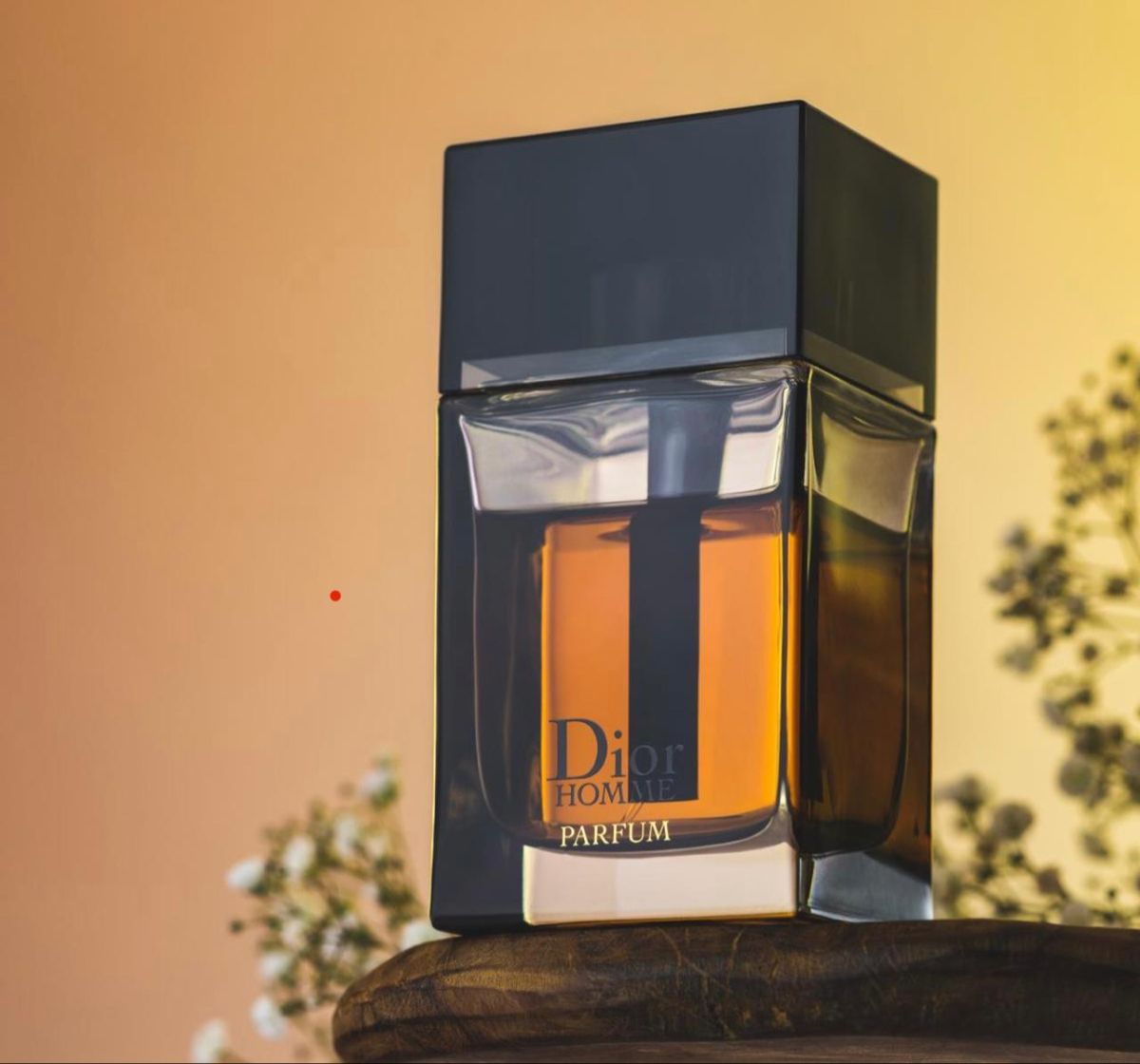 Dior Homme